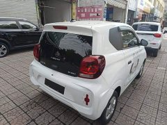 SAIC Corey Wei CLEVER 302km All-Purpose Edition - ფოტო 6