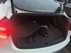 Tesla Model 3 Rear-Wheel Drive - photo 18