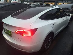 Tesla Model 3 Rear-Wheel Drive - photo 6