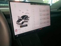Tesla Model 3 Long Range Rear-Wheel Drive - photo 12