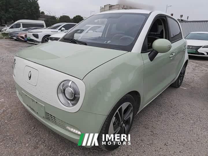 Ora Black Cat 351km Comfort Ternary Lithium - автомобиль из Китая