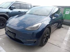 Tesla Model Y Long Range All-Wheel Drive - ფოტო 1