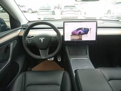 Tesla Model Y Long Range All-Wheel Drive - ფოტო 10