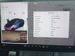 Tesla Model Y Long Range All-Wheel Drive - ფოტო 12