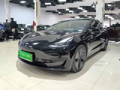 Tesla Model 3 Standard Range RWD Upgrade 3D6 - ფოტო 1