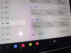 Tesla Model 3 Standard Range RWD Upgrade 3D6 - ფოტო 11