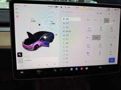 Tesla Model 3 Standard Range RWD Upgrade 3D6 - ფოტო 12