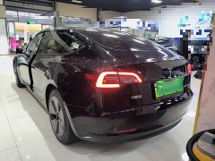 Tesla Model 3 Standard Range RWD Upgrade 3D6 - ფოტო 4
