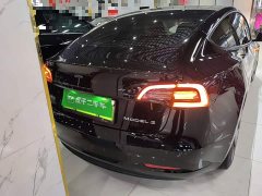 Tesla Model 3 Standard Range RWD Upgrade 3D6 - ფოტო 5