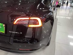 Tesla Model 3 Standard Range RWD Upgrade 3D6 - ფოტო 7