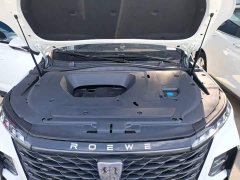 SAIC MG RX5 MAX 1.5T Automatic Worthy Luxury Edition - photo 19