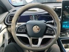 BYD Qin Plus DM-i 120KM Flagship - ფოტო 10