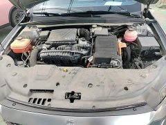BYD Qin Plus DM-i 120KM Flagship - ფოტო 19