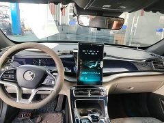 BYD Qin Plus DM-i 120KM Flagship - ფოტო 9