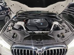 BMW 5 Series Facelift 530Li Premier M Sport Package - ფოტო 19