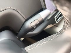 Li Auto L7 Max - ფოტო 13