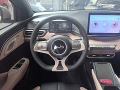 BYD Seagull Glory Edition 305km Vitality Version - фото 10