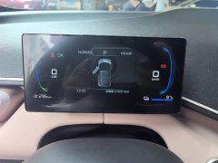 BYD Seagull Glory Edition 305km Vitality Version - фото 11