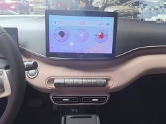 BYD Seagull Glory Edition 305km Vitality Version - фото 12