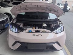 BYD Seagull Glory Edition 305km Vitality Version - фото 19