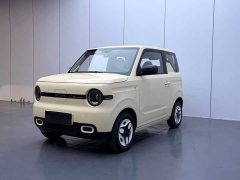 Geely Panda Mini 210km Vitality Edition - ფოტო 1