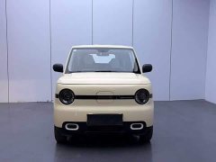 Geely Panda Mini 210km Vitality Edition - ფოტო 4