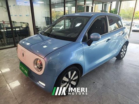 2021 ORA Black Cat 351km Standard - ავტომობილი ჩინეთიდან
