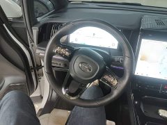 GAC Aion M8 Master Series Dual Engine Flagship - фото 10