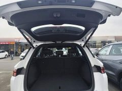 BYD Song Pro New Energy DM-i 133KM Exceed - ფოტო 18