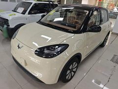 Wuling Binguo 333km Joy Edition - photo 1