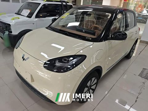 2026 Wuling Binguo 333km Joy Edition - car from China