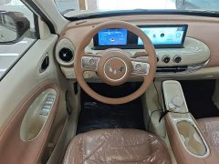 Wuling Binguo 333km Joy Edition - photo 10