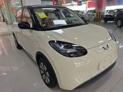 Wuling Binguo 333km Joy Edition - photo 3