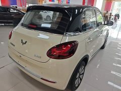 Wuling Binguo 333km Joy Edition - photo 6