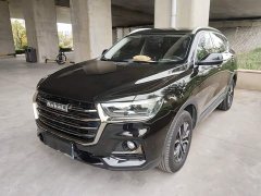 Haval H6 National Trend Edition 1.5T Automatic Urban Version - photo 1
