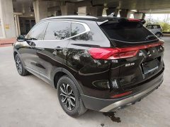 Haval H6 National Trend Edition 1.5T Automatic Urban Version - photo 4