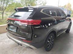 Haval H6 National Trend Edition 1.5T Automatic Urban Version - photo 6