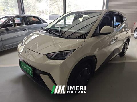 2025 BYD Seagull 305km Vitality Edition - car from China