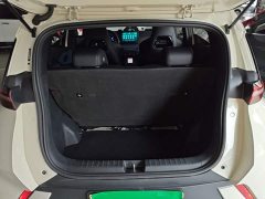 BYD Seagull 305km Vitality Edition - ფოტო 18