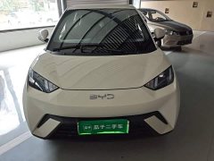 BYD Seagull 305km Vitality Edition - ფოტო 2