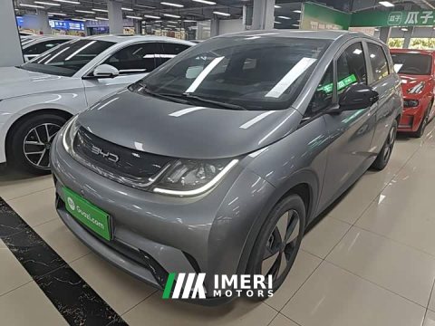 2023 BYD Dolphin 420km Freedom Edition - car from China