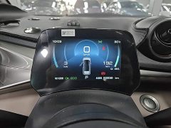 BYD Dolphin 420km Freedom Edition - ფოტო 11