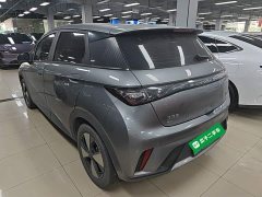 BYD Dolphin 420km Freedom Edition - ფოტო 4