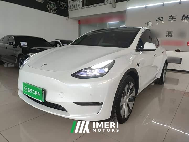 Tesla Model Y Standard Range RWD