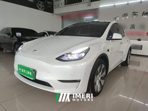 2021 Tesla Model Y Standard Range RWD - автомобиль из Китая