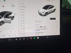 Tesla Model Y Standard Range RWD - photo 11