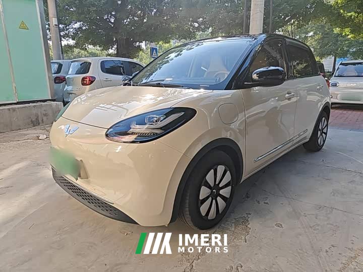 Wuling Binguo 333km Joy Edition - car from China