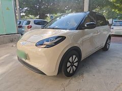 Wuling Binguo 333km Joy Edition - photo 1