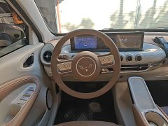 Wuling Binguo 333km Joy Edition - photo 10
