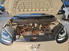 Wuling Binguo 333km Joy Edition - photo 19